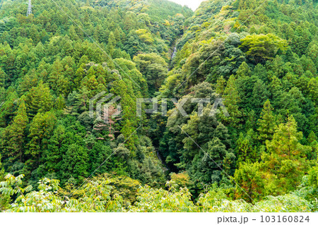 徳島県下一の落差を誇る鳴滝の全景1 徳島県美馬郡つるぎ町 徳島県下一の落差を誇る鳴滝の全景1 徳島県美馬郡つるぎ町 103160824
