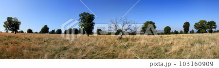 Landscape big panorama 103160909