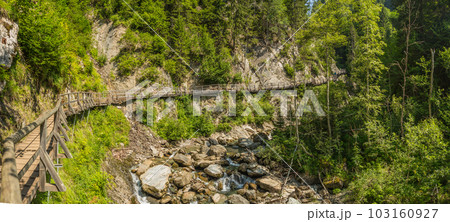 Wooden path Wooden path 103160927