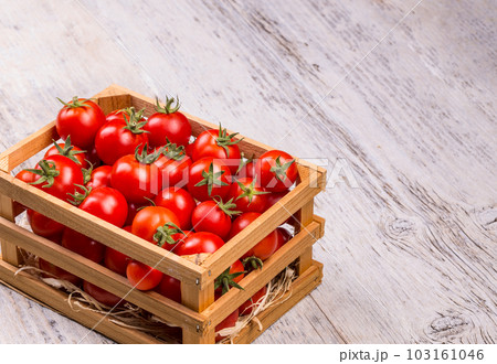Cherry tomatoes 103161046