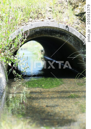 バイガモ バイガモ 103161379