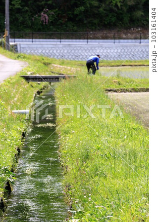 バイガモ バイガモ 103161404