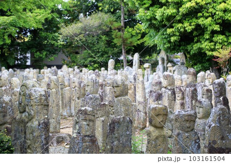 五百羅漢 103161504