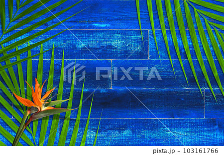 コバルトブルーの木製デッキと、トロピカルな花と葉の背景 103161766