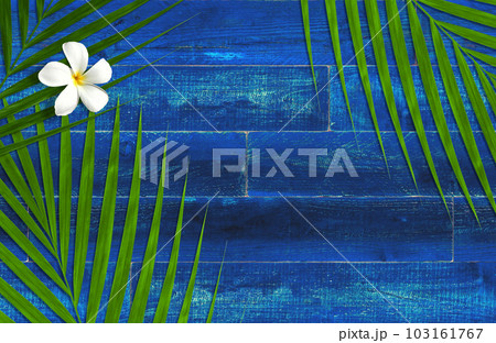 コバルトブルーの木製デッキと、トロピカルな花と葉の背景 103161767