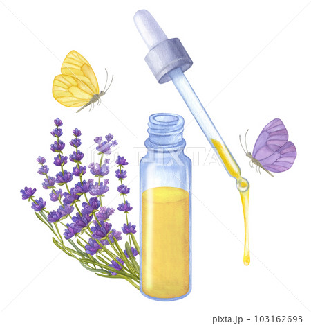 Essential oil, bouquet lavender. Blue glass bottle pipette. Yellow purple butterfly. Hand drawn watercolor illustration isolated on white background. For cosmetics packaging beauty magazines logo Essential oil, bouquet lavender. Blue glass bottle pipette. Yellow purple butterfly. Hand drawn watercolor illustration isolated on white background. For cosmetics packaging beauty magazines logo 103162693