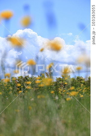 春の青空に広がる入道雲と山並み 春の青空に広がる入道雲と山並み 103163055