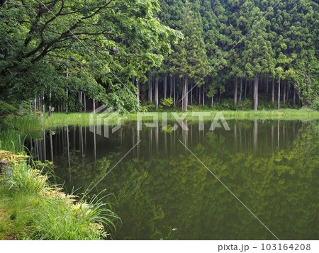 奈良県 龍王ヶ淵 初夏 奈良県 龍王ヶ淵 初夏 103164208