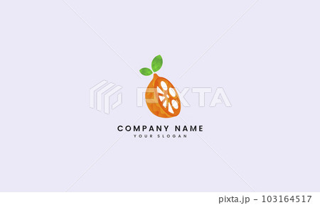 Wave Orange slice video Production Logo Wave Orange slice video Production Logo 103164517