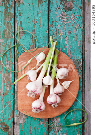 Fragrant garlic on the board 103164898