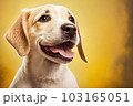Happy puppy dog smiling isolated on isolated yellow background, Generative Ai 103165051