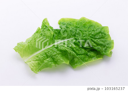 サンチュ サンチュ 103165237