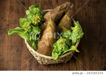 たけのこ 103165255