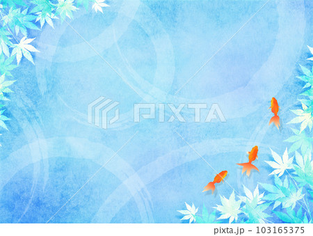 金魚と青もみじ 和風 夏イメージ 103165375