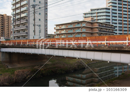 芝川 中央橋 2023 103166309