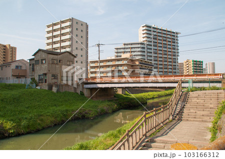 芝川 中央橋 2023 芝川 中央橋 2023 103166312