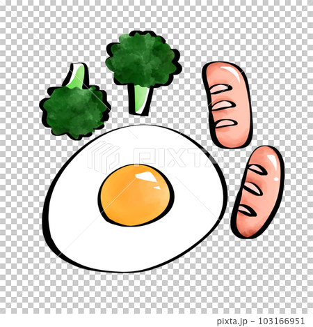 筆ペン風　目玉焼きとブロッコリーとウインナーのイラスト 103166951