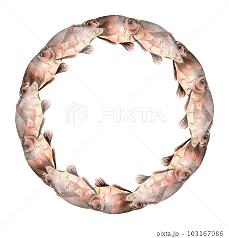 a wreath of caught carp painted in watercolor isolated hand-drawn 103167086