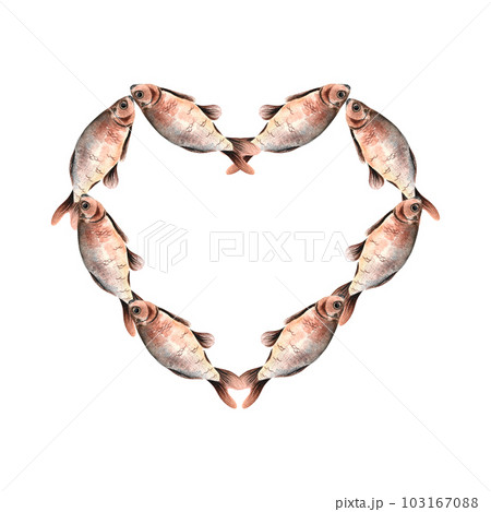wreath heart of caught carp painted in watercolor isolated hand drawn 103167088