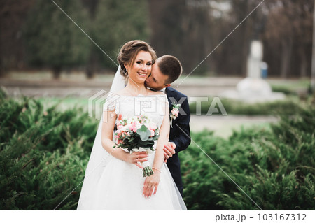 Wedding couple on the nature is hugging each other. Beautiful model girl in white dress. Man in suit 103167312