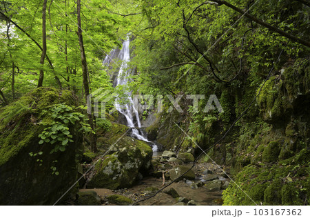 轟谷の滝（兵庫県美方郡香美町） 103167362