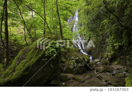 轟谷の滝（兵庫県美方郡香美町） 103167363