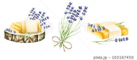 Watercolor natural set of handmade soap with lavender on a wooden saw cut isolated on white background. Beauty products and botany elements, cosmetology and medicine. For designers, spa decoration 103167450