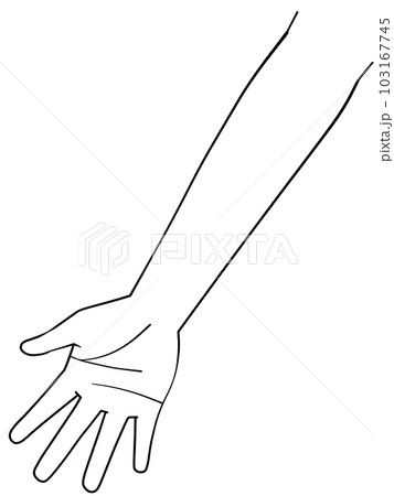 白黒　片手のイラスト　右手 103167745
