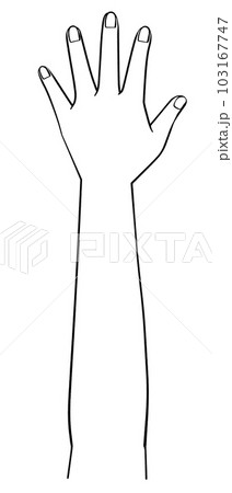 白黒　片手のイラスト　左手 103167747