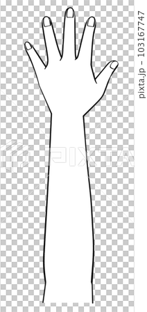 白黒　片手のイラスト　左手 103167747
