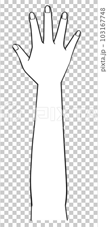 一隻手的黑白插圖 右手 103167748