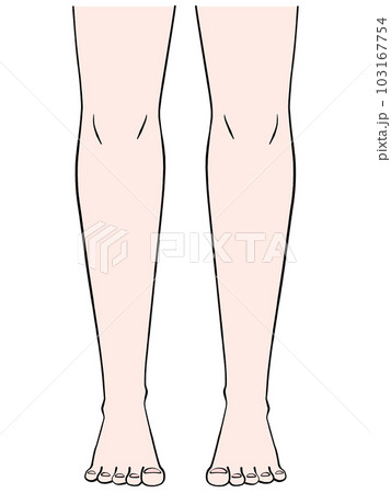 前から見た両脚のイラスト 103167754