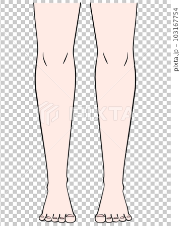 A back leg - Stock Illustration [8122813] - PIXTA