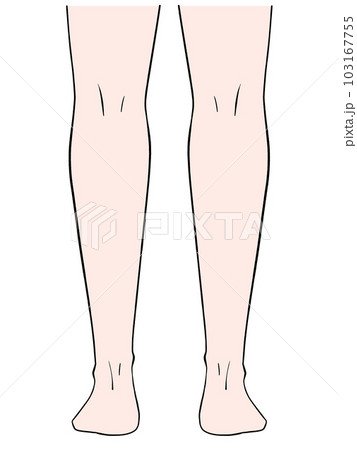後ろから見た両脚のイラスト 後ろから見た両脚のイラスト 103167755