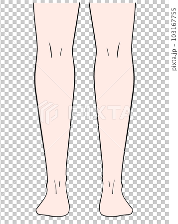 後ろから見た両脚のイラスト 後ろから見た両脚のイラスト 103167755