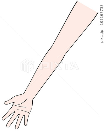 片手のイラスト　右手 103167758