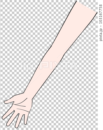 片手のイラスト　右手 103167758