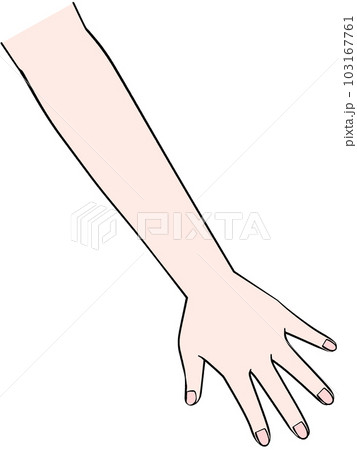 片手のイラスト 左手 片手のイラスト 左手 103167761