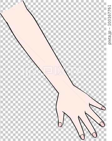 片手のイラスト 左手 片手のイラスト 左手 103167761