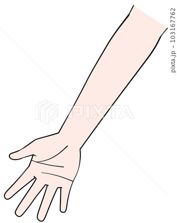 片手のイラスト　右手 103167762
