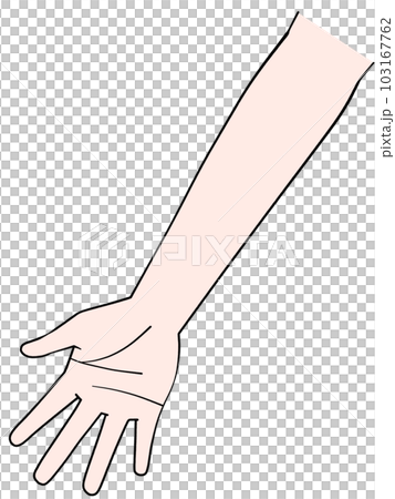 一隻手的插圖 右手 一隻手的插圖 右手 103167762