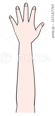 片手のイラスト 左手 片手のイラスト 左手 103167765