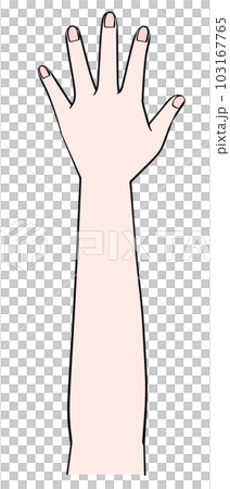 片手のイラスト 左手 片手のイラスト 左手 103167765