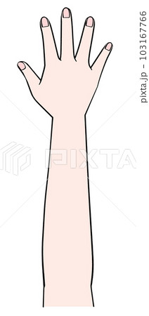 片手のイラスト 右手 片手のイラスト 右手 103167766