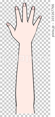 片手のイラスト 右手 片手のイラスト 右手 103167766