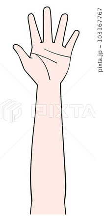 片手のイラスト　左手 103167767