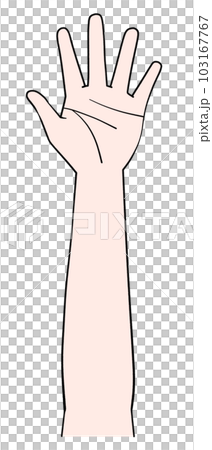 片手のイラスト　左手 103167767