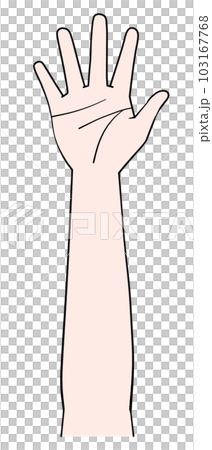 片手のイラスト　右手 103167768