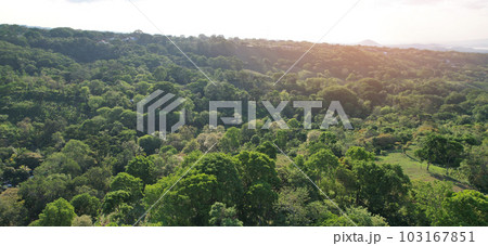 Green panoramic view in Santo Domingo 103167851