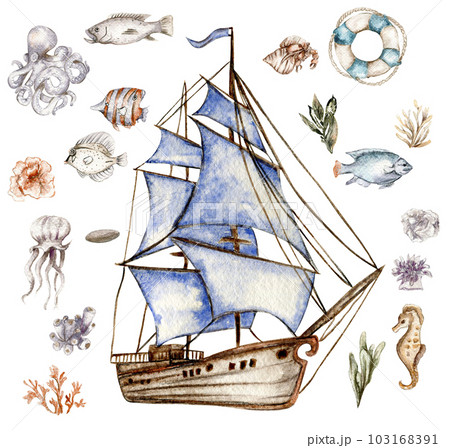 watercolor set of seashells, seahorse, starfish, bubbles on an isolated white background, hand drawing, summer sea clipart 103168391